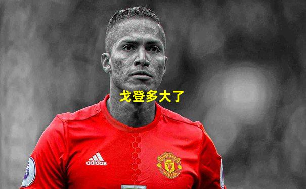 戈登多大了