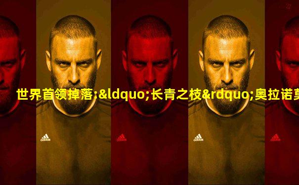 世界首领掉落:“长青之枝”奥拉诺莫诺斯